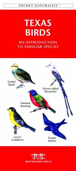 Picture of Waterford Press WFP1583551189 Texas Birds Book: An Introduction to Familiar Species