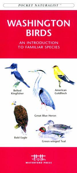Picture of Waterford Press WFP1583551196 Washington State Birds Book: An Introduction to Familiar Species (State Nature Guides)