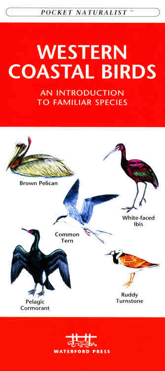Picture of Waterford Press WFP1583551219 Western Coastal Birds Book: An Introduction to Familiar Species (Regional Nature Guides)