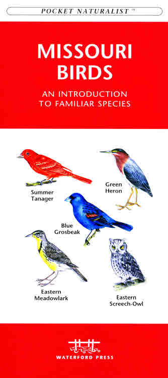 Picture of Waterford Press WFP1583551257 Missouri Birds Book: An Introduction to Familiar Species