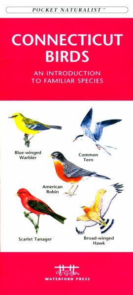 Picture of Waterford Press WFP1583551394 Connecticut Birds Book: An Introduction to Familiar Species (State Nature Guides)
