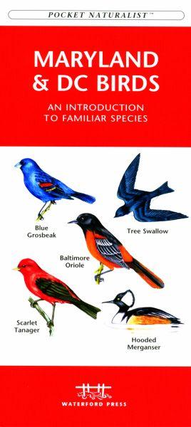 Picture of Waterford Press WFP1583551516 Maryland and DC Birds Book: An Introduction to Familiar Species (State Nature Guides)