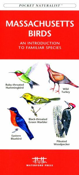 Picture of Waterford Press WFP1583551523 Massachusetts Birds Book: An Introduction to Familiar Species (State Nature Guides)
