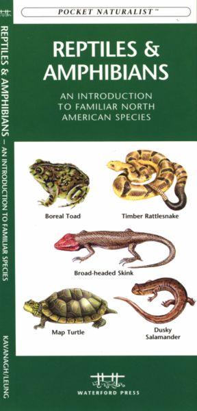 Picture of Waterford Press WFP1583551806 Reptiles and Amphibians Book: An Introduction to Familiar North American Species (North American Nature Guides)