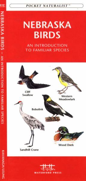 Picture of Waterford Press WFP1583551851 Nebraska Birds Book: An Introduction to Familiar Species (State Nature Guides)