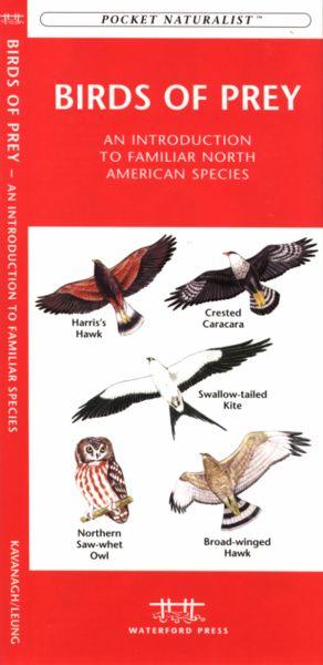 Picture of Waterford Press WFP1583551899 Birds of Prey Book: An Introduction to Familiar North American Species