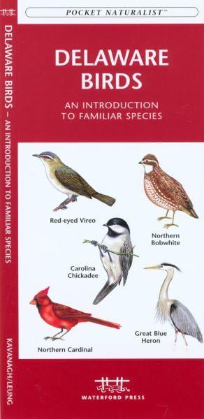 Picture of Waterford Press WFP1583552223 Delaware Birds Book: An Introduction to Familiar Species (State Nature Guides)