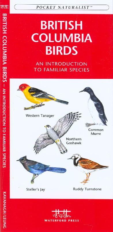 Picture of Waterford Press WFP1583552773 British Columbia Birds Book: An Introduction to Familiar Species (Canadian Nature Guides)