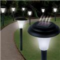 Set of 8 Bright Solar Accent Lights - Cordless Set of 8 Bright Solar Accent Lights - Cordless