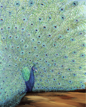 Picture of The Monarch Collection TMC-DK-12-16X20 Exotic Fan-16X20 Painting