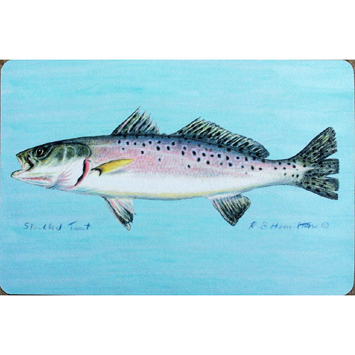 Picture of Betsy Drake DM023 Speckled Trout Door Mat 18&quot;x26&quot;