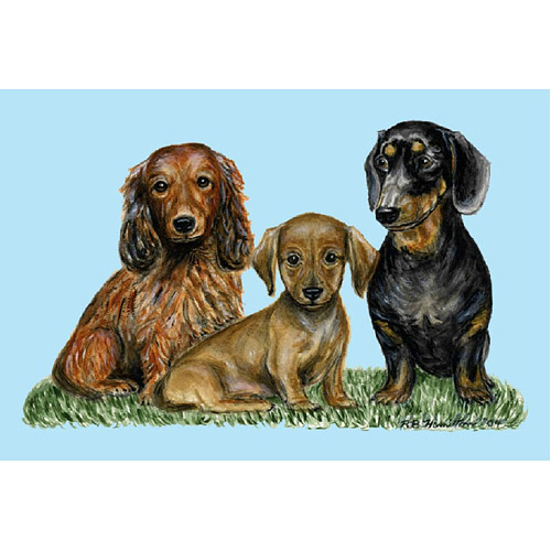 Picture of Betsy Drake DM074G Dachshunds Door Mat 30&quot;x50&quot;