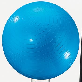 Picture of Dick Martin Sports Masgym24 Exercise Ball 24In Blue