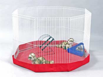 Mat Cover For The Rabbit And Ferret Playpen