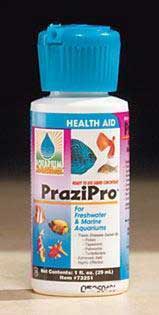 Picture of Hikari Usa Inc. AHK73256 Aquarium Solutions Prazipro 16oz Bottle