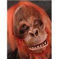 Zagone Studios M6003 Super Deluxe Orangutan Mask Zagone Studios M6003 Super Deluxe Orangutan Mask
