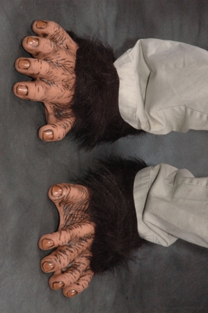 Picture of Zagone Studios F1005 Super Deluxe Footwear Chimp Feet