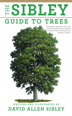 Picture of Random House RH9780375415197 Sibley Guide To Trees Book