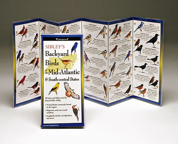 Picture of Sibleyapos;s Backyard Birds Mid-Atlantic South Central States Book