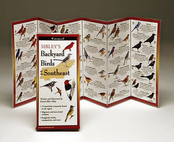 Picture of Sibleyapos;s Backyard Birds Southeast Book