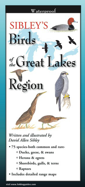 Picture of Sibleyapos;s Birds Great Lakes Region Book