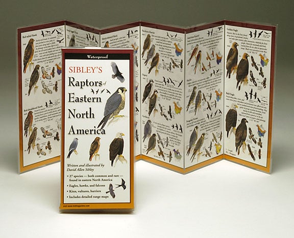 Picture of Sibleyapos;s Raptors Eastern North America Book