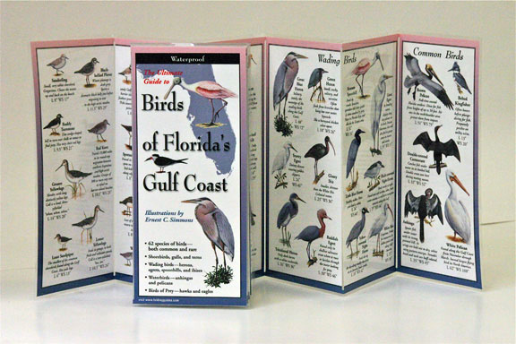 Picture of Birds of Floridaapos;s Gulf Coast Book