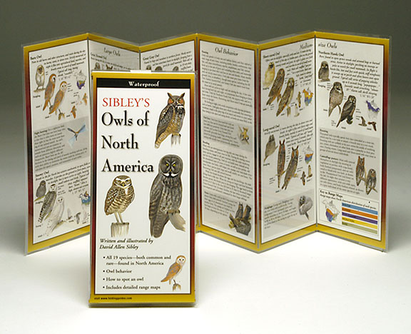 Picture of Sibleyapos;s Owls North America Book