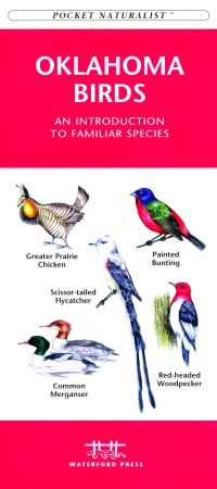 Picture of Waterford Press WFP1583550083 Oklahoma Birds Book: An Introduction to Familiar Species (State Nature Guides)
