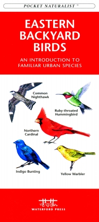 Picture of Waterford Press WFP1583550748 Eastern Backyard Birds Book: An Introduction to Familiar Urban Species (Regional Nature Guides)
