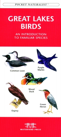Picture of Waterford Press WFP1583550922 Great Lakes Birds Book