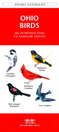 Picture of Waterford Press WFP1583551042 Ohio Birds Book: An Introduction to Familiar Species