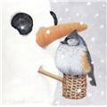 Songbird Essentials SEEK2007 3" x 3" x 0.3" Pipe Dreams Magnet Songbird Essentials SEEK2007 3" x 3" x 0.3" Pipe Dreams Magnet