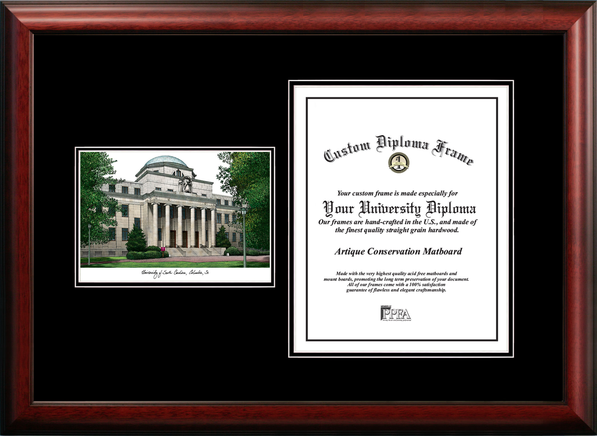 University of South Carolina Diplomate