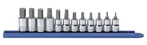 12 Pieces 3/8 Drive Metric Hex Bit Set