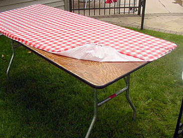 Kwik-Covers 2472-Rw 24 Inch X 72 Inch Kwik-Cover- Red Gingham- Pack of 25