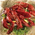 Lobster Gram JTL2J JUST THE LOBSTERS WITH 2 LB LOBSTERS Lobster Gram JTL2J JUST THE LOBSTERS WITH 2 LB LOBSTERS