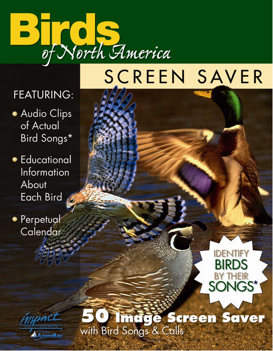 Picture of Impact Photographics IMP177SS Screen Saver Birds of North America
