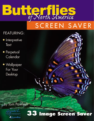 Picture of Impact Photographics IMP185SS Screen Saver Butterflies of North America