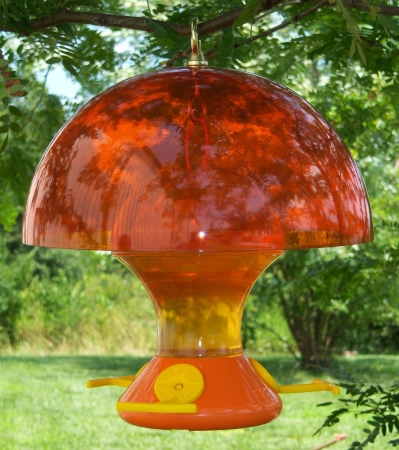Picture of Songbird Essentials SESQ83O Oriole Magnet 12 inch Baffle
