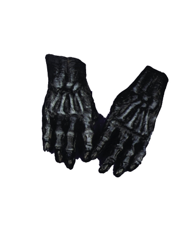 Picture of Costumes For All Occasions Du975 Hands Skeleton Black