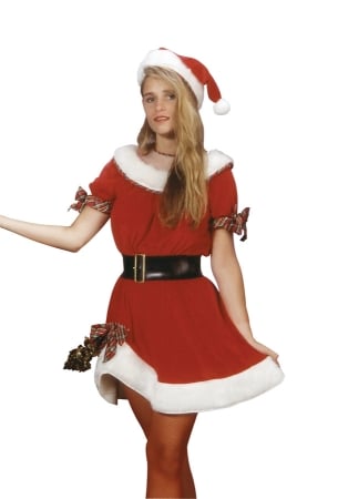 Picture of Costumes For All Occasions Ru25521 Ms. Santa Adult Standard