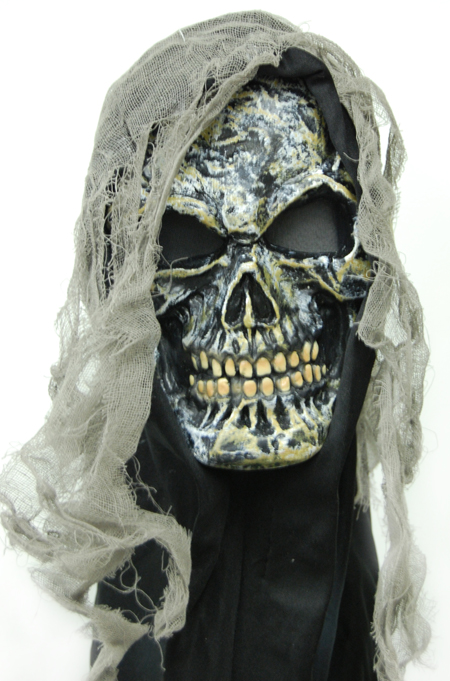 Picture of Costumes For All Occasions Fw8517S Gauze Skull Mask