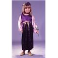 Costumes For All Occasions Fw1459 Harvest Princes Velvt Todlr Costumes For All Occasions Fw1459 Harvest Princes Velvt Todlr