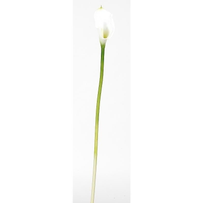 Picture of Nearly Natural 2006-CR Calla Lilly Silk Flower 12 Stems