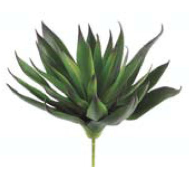 Picture of  CA0230-GR-PU 7.8 in. Agave Plant with 33 Leaves Green Purple- Case of 12
