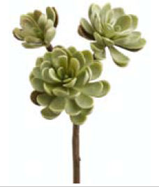 Picture of  CM4125-GR 10 in. Green Hen-And-Chicks Stem X3- Case of 12