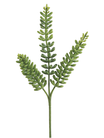 Picture of  CS0510-GR 11 in. Donkey Tail Spray Green- Case of 12