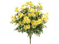 Picture of  FBD317-YE 24 in. Yellow Framhouse Daisy Bush x14- Case of 12