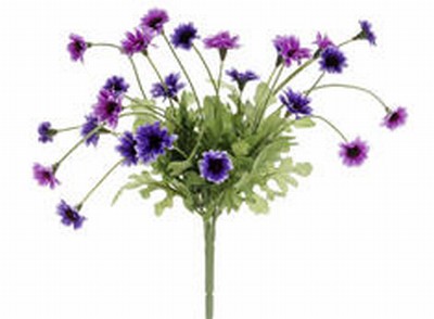 Picture of  FBD515-OC-TT 10.5 in. Two Tone Orchid Daisy Bushes X5- Case of 24